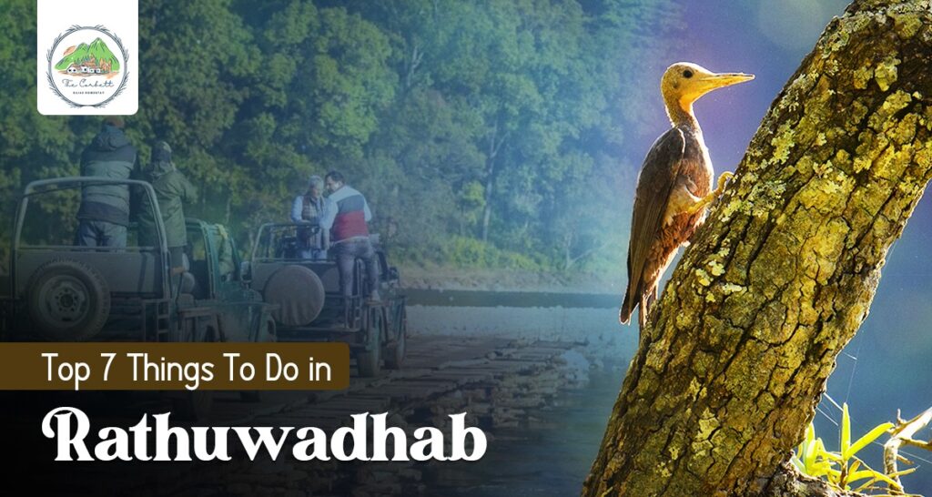 Top 7 Things to Do in Rathuwadhab