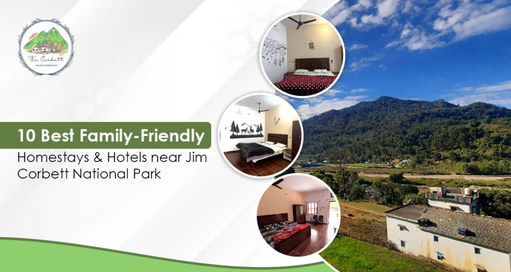 10 Best Family-Friendly Homestays & Hotels near Jim Corbett National Park