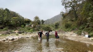Three senior guests walking through a shallow river stream near Jim Corbett.