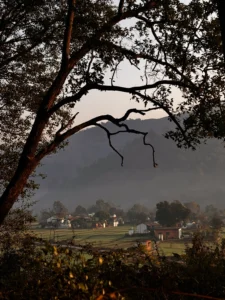 A back view of a traveler with a backpack and his dog, seated on a ledge overlooking a wide, sun-drenched valley with a village and river in North Jim Corbett, under a clear blue sky.