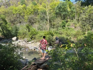 Two travelers walking across a rustic narrow bridge over a rocky riverbed deep inside a lush green forest.